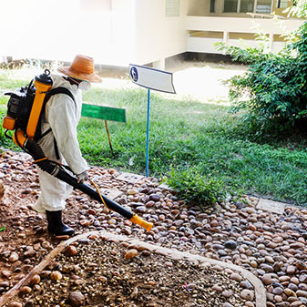 Disease and Pest Control