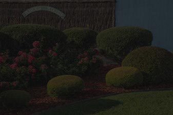 Obligation Free Quote